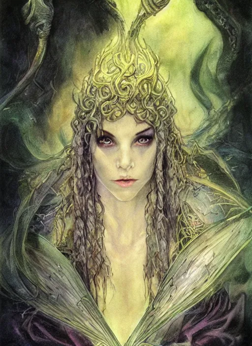 Image similar to portrait of young female sorceress of the endtimes, beautiful! coherent! dungeons and dragons character, by brian froud, strong line, night color, high contrast