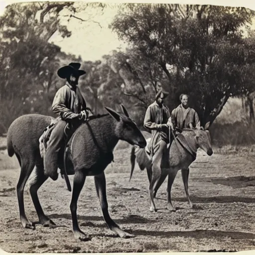 Image similar to kangaroo and wallaby cowboys, riding into a small town on horses, 1 8 6 0 s, photo