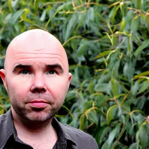 Image similar to karl pilkington with a head as an orange