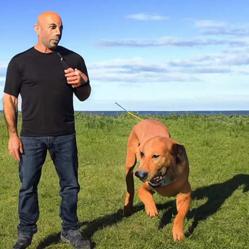 Image similar to Joe Rogan with a dog