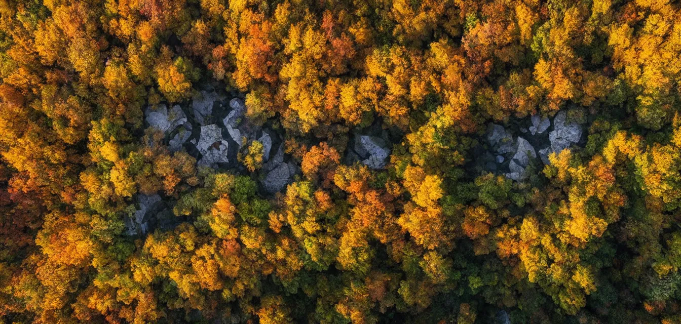 Prompt: stone cottages underneath a dense tall forest, pristine ponds. bodyscapes. fine painting intricate brush strokes, bright depth oil colors. 2 8 mm perspective photography by araken alcantara. intense promiseful happiness, autumn sunrise warm hdri forest light