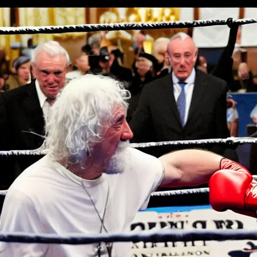 Prompt: gandalf vs pope francis boxing match