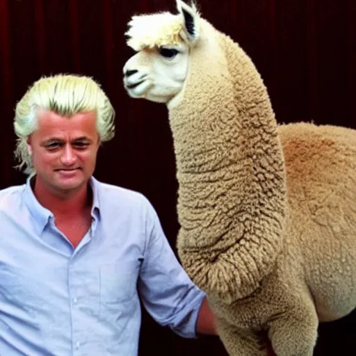 Prompt: geert wilders touching alpaca behind