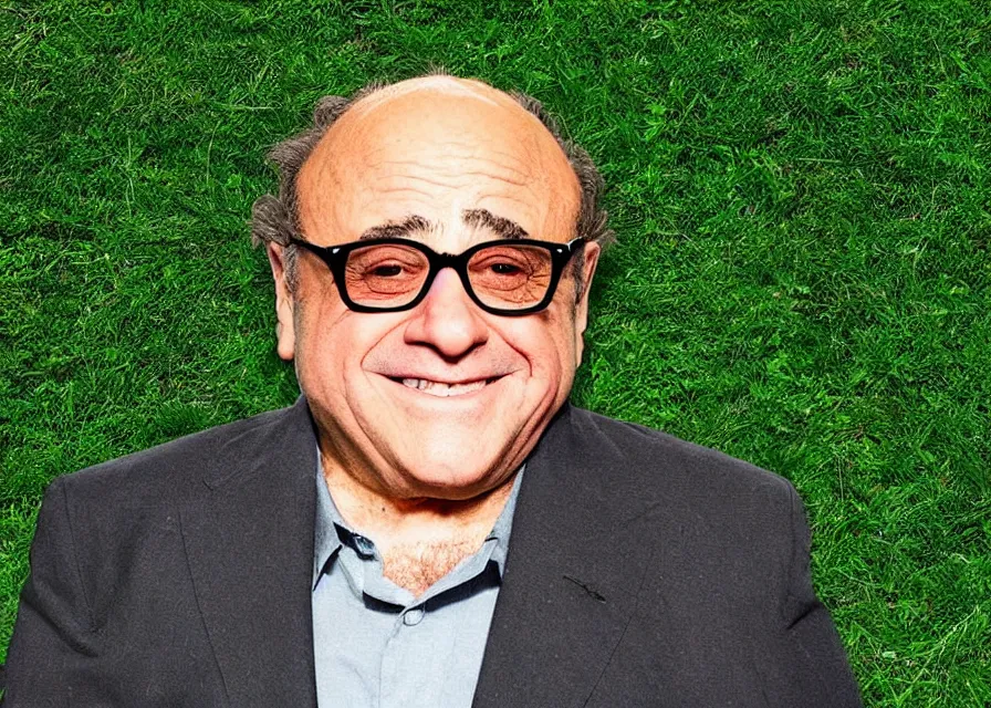 Image similar to satellite photo of danny devito's face in a cornfield