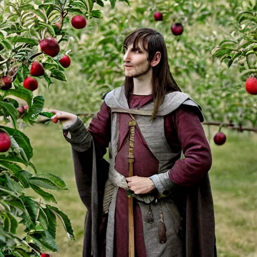 Image similar to portrait of a slender elven man, standing in an apple orchard, dressed in medieval clothes, very handsome, dungeons and dragons