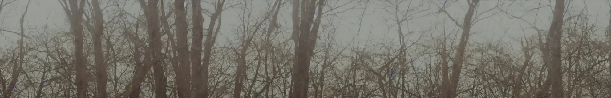 Image similar to a frames from a video