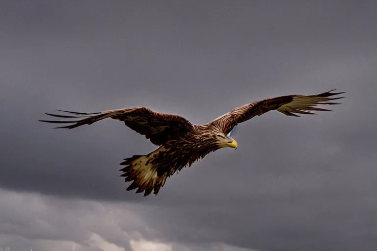 Prompt: a wideangle colorchrome supersharp photo of a white - tailed eagle, 3 0 0 mm lens, stormy sky