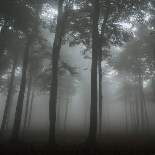 Prompt: vast foggy forest with a ceiling, lights on the ceiling