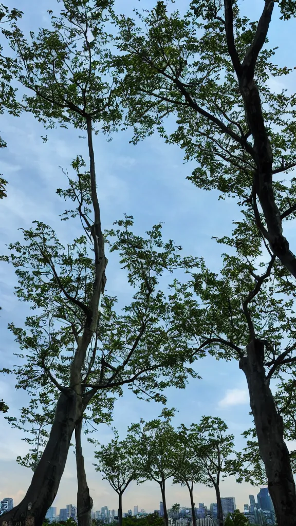 Image similar to beautiful sky tree park view with lost of trees