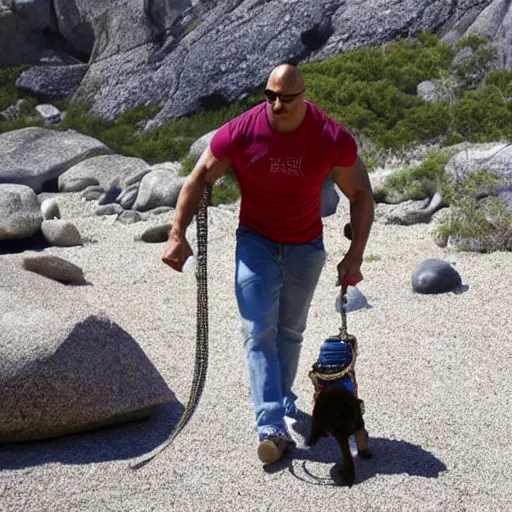 Image similar to the rock walking his pet rock on a leash. he is walking on rocks while rocking to some rock music.