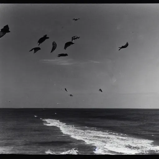 Prompt: A coast with sand and small rocks with a blue sky and a troubled sea and an old sailing ship on the horizon and in the sky is a flock of birds flying southwards, black and white photography 1930