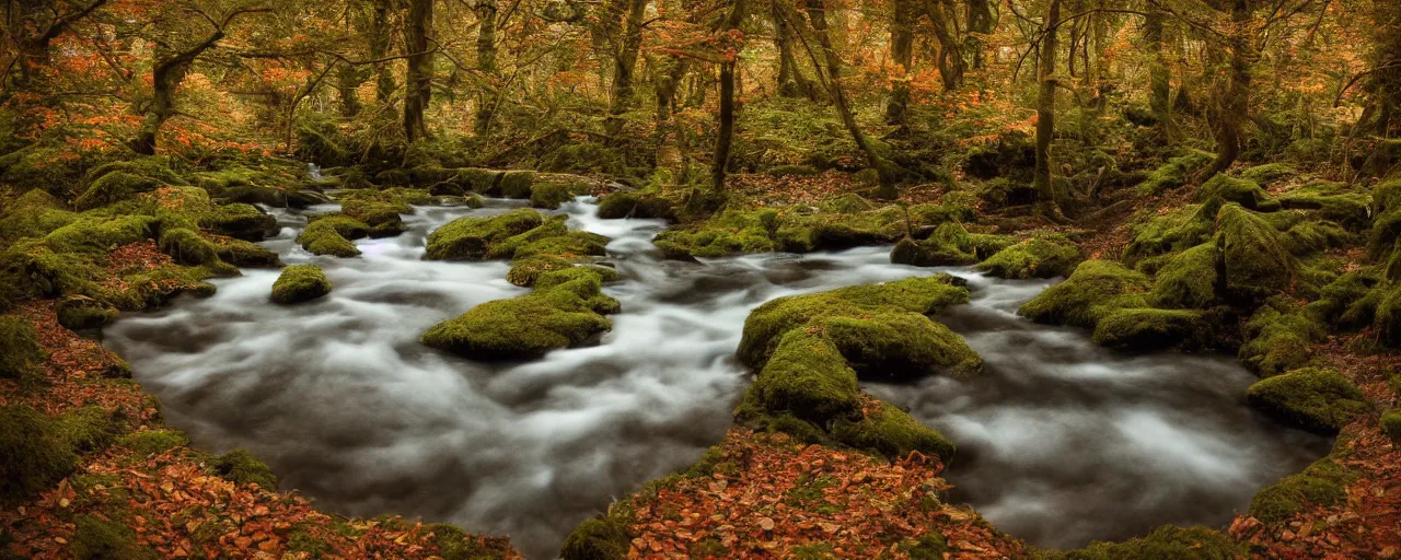 Prompt: wide - angle shot of forest stream in autmn, depth of field, zeiss lens, detailed, symmetrical, centered, by nicoletta ceccoli, mark ryden, lostfish, earl nore, hyung tae, frank frazetta, breathtaking, 8 k resolution beautiful artistic, hyperrealistic, octane render