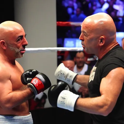 Image similar to Donald Trump and Joe rogan, boxing, Las Vegas, high quality,