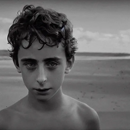 Image similar to timothee chalamet plays ralph in lord of the flies ( 1 9 6 3 ), 3 5 mm black and white, highly detailed, cinematic lighting