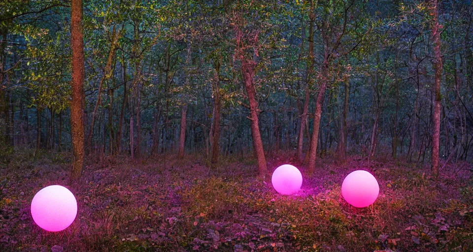 Prompt: softly glowing orbs of pink blue orange and gold pastel light floating above the forest floor at twilight, illuminating the surrounding scenery