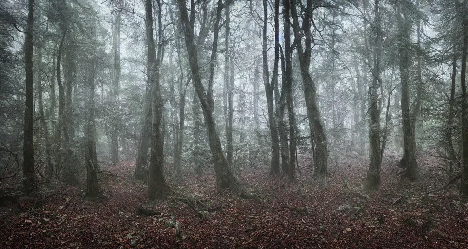 Prompt: Enchanted and magic forest, by Alyssa Monks