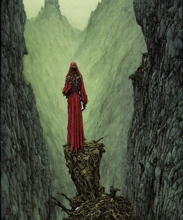 Image similar to a detailed mosquitowoman stands among the mountains. wearing a ripped mantle, robe. perfect faces, extremely high details, realistic, fantasy art, solo, masterpiece, art by zdzislaw beksinski, arthur rackham, dariusz zawadzki