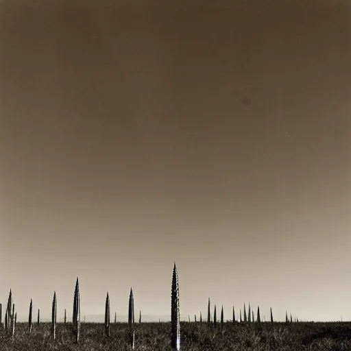 Prompt: radioactive spike field, monolithic granite spikes, one lone person standing in front of the spikes, creepy monotone black and white lighting, post nuclear fallout, desolate, no life, high resolution, old photo,