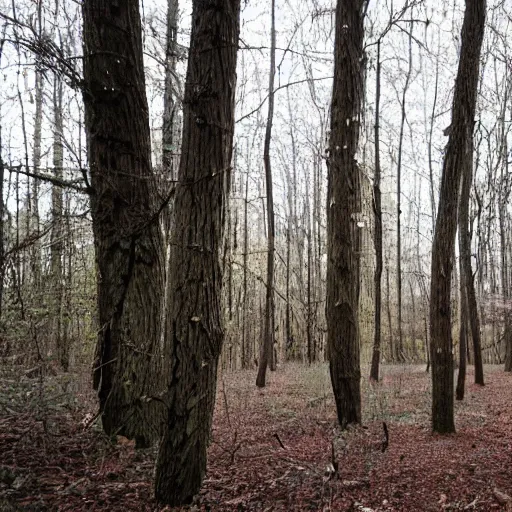 Image similar to Human nervous system spotted walking on its own in the woods, found footage, national reserve