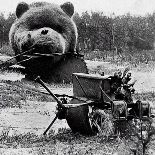 Image similar to a picture of a enormous bear pulling a towed cannon like a chariot, eastern front, historical picture