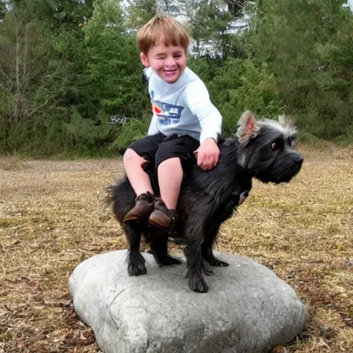 Prompt: a photo of a boy riding on a fat flying cairn terrier