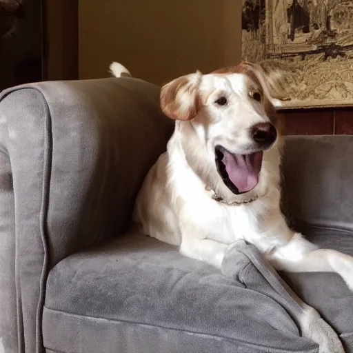 Image similar to cozy picture of older handsome lord richard is sitting gracefully on a sofa, his eyes look wise, happy wise. he has bouncy belly, oh he is a human by the way