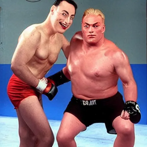 Prompt: brock lesnar fighting peewee herman