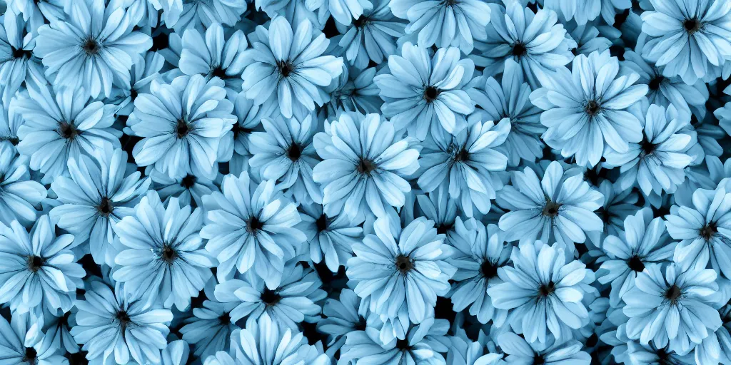 light blue flowers wallpaper