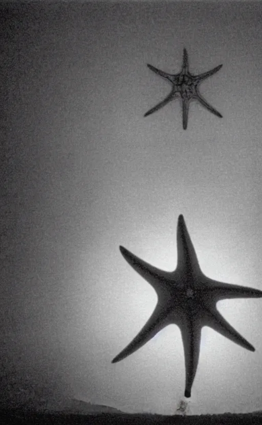 Image similar to light coming out of one starfish - like kaiju anthropomorphic monster, korean film noir by kim jong - il, korean traditional palace, pyongyang city, 1 9 6 0 s, red color bleed, 4 k, video compression, video glitch, monochrome, akira kurosawa, mamoru oshii, wes anderson, stanley kubrick