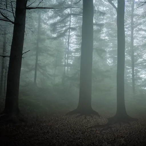 Image similar to found footage of a mysterious creature in the woods, atmospheric fog