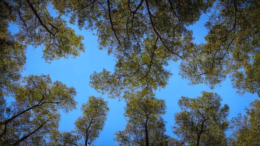 Prompt: circular polarizer photo sample of trees