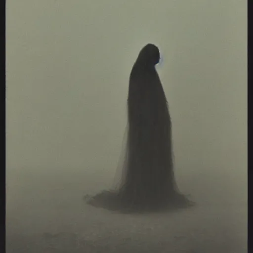 Prompt: vintage photography of realistic faceless beast-god with many long arms, a huge body covered with deep furs by Zdzisław Beksiński, odd eye, dark fantasy, abomination, blur, haze, fog, vignetting, platinum printing