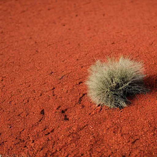 Image similar to Wild West, red sand, tumbleweed, gunslingers, Canon EOS R3, f/1.4, ISO 200, 1/160s, 8K, RAW, unedited, symmetrical balance, in-frame