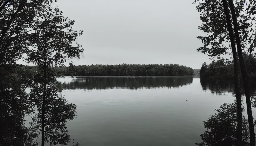 Image similar to photograph of an infinitely long chunky rope floating on the surface of the water, the rope is snaking from the foreground towards the center of the lake, a dark lake on a cloudy day, trees in the background, moody scene, anamorphic lens, kodak color film stock