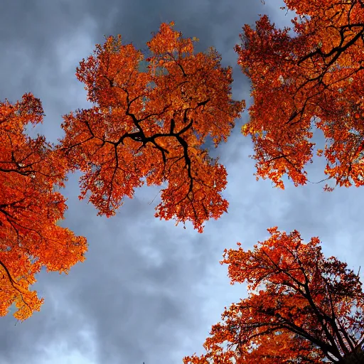 Prompt: all the leaves are brown, and the sky is gray