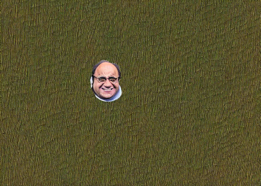 Image similar to satellite photo of danny devito's face in a cornfield