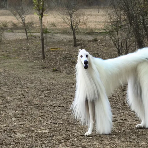 Image similar to borzoi