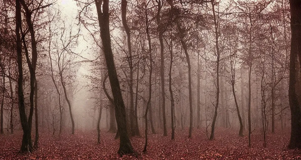 Prompt: Enchanted and magic forest, by Gottfried Helnwein