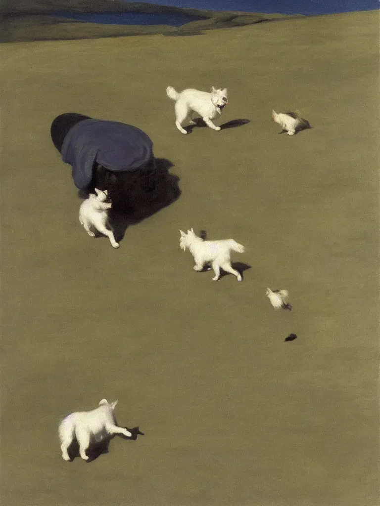 Image similar to a single gray german spitz fights a single white west highland terrier, by edward hopper