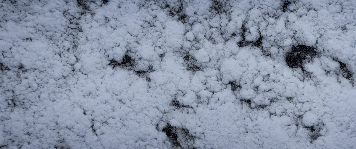 Image similar to a high quality color extreme closeup depth of field creepy hd 4 k film 3 5 mm photograph of very heavy snow storm blizzard in desolate antarctica, the faint barely visible silhouette of a bulky man is inside the blizzard