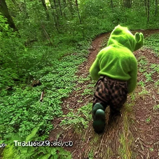 Image similar to trailcam footage of the green teletubbie