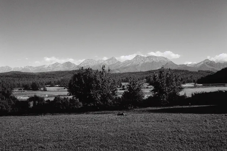 Prompt: film color photography, small mirror in distance, long view of green lawn, no focus, mountains in distance, 35mm