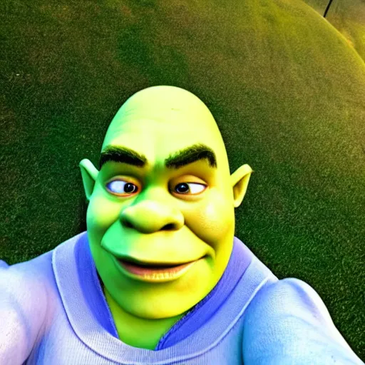 Image similar to shrek takes an accidental selfie,