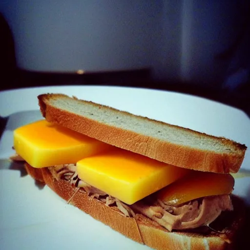Prompt: sandwich with foie gras and honey and mango, bad, grainy and blurry amateur photo