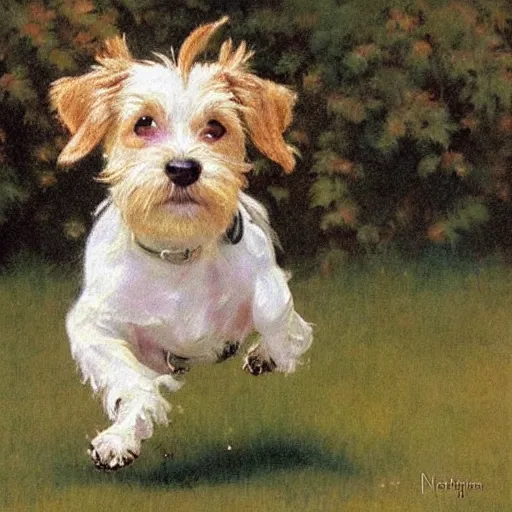 Image similar to a high quality painting of a very cute scruffy wire haired jack russell terrier puppy, white with chocolate brown spots, brown patches over both eyes. he is running through a field. painting by norman rockwell