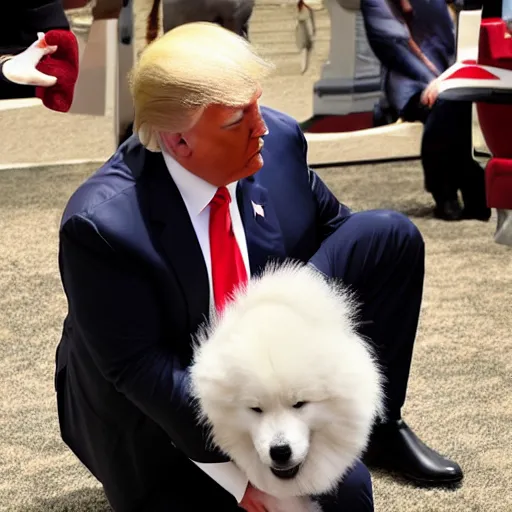 Image similar to donald trump petting samoyed dog,