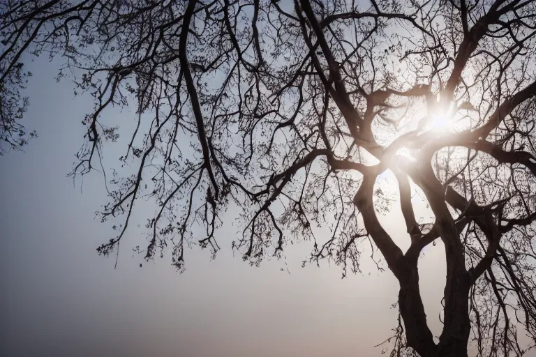 Prompt: beautiful unicorn infer a tree natural lighting 85mm by Emmanuel Lubezki