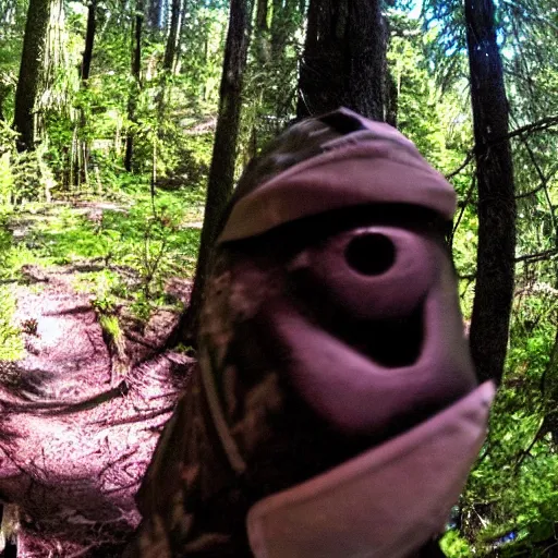 Image similar to cthulu caught on trail cam