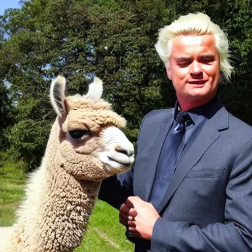 Image similar to geert wilders touching alpaca behind