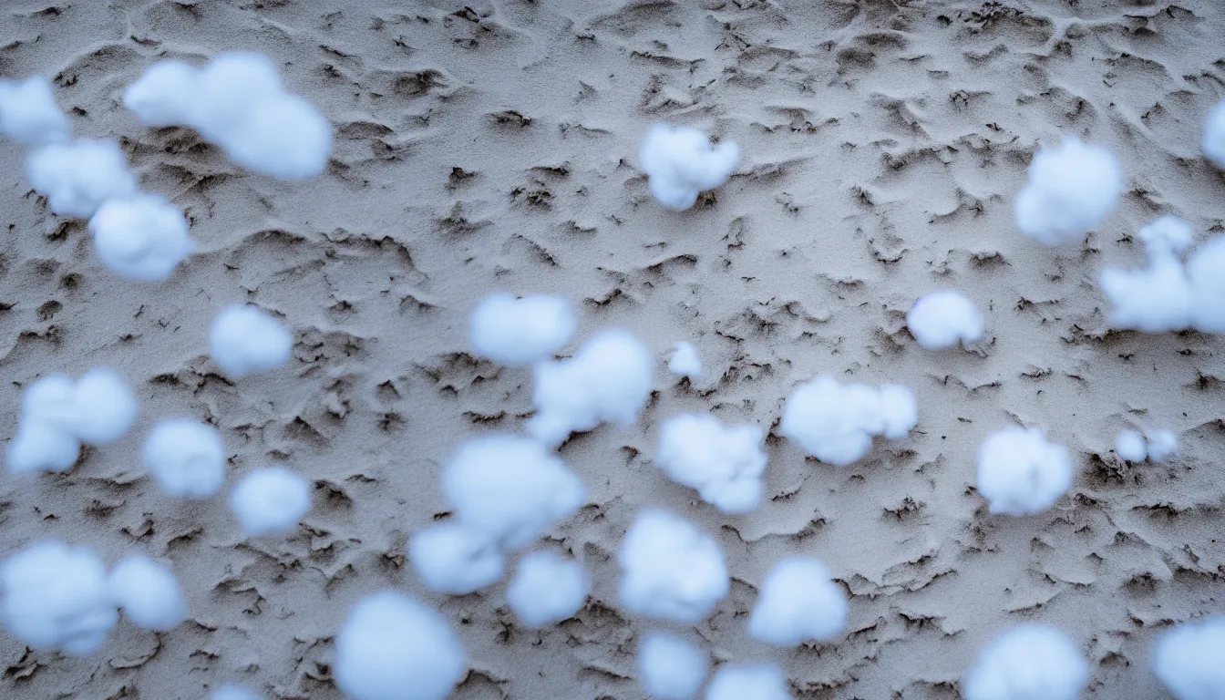 Image similar to cotton in the beach distance over the ocean, beautiful, appealing, realistic, award wining, photography, very detailed, national geographic, 4 k